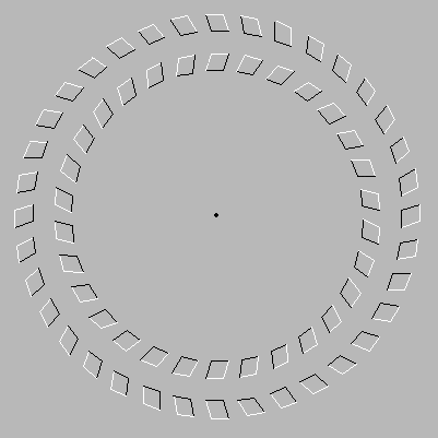 opticke-iluzije_rotirajuci prsten